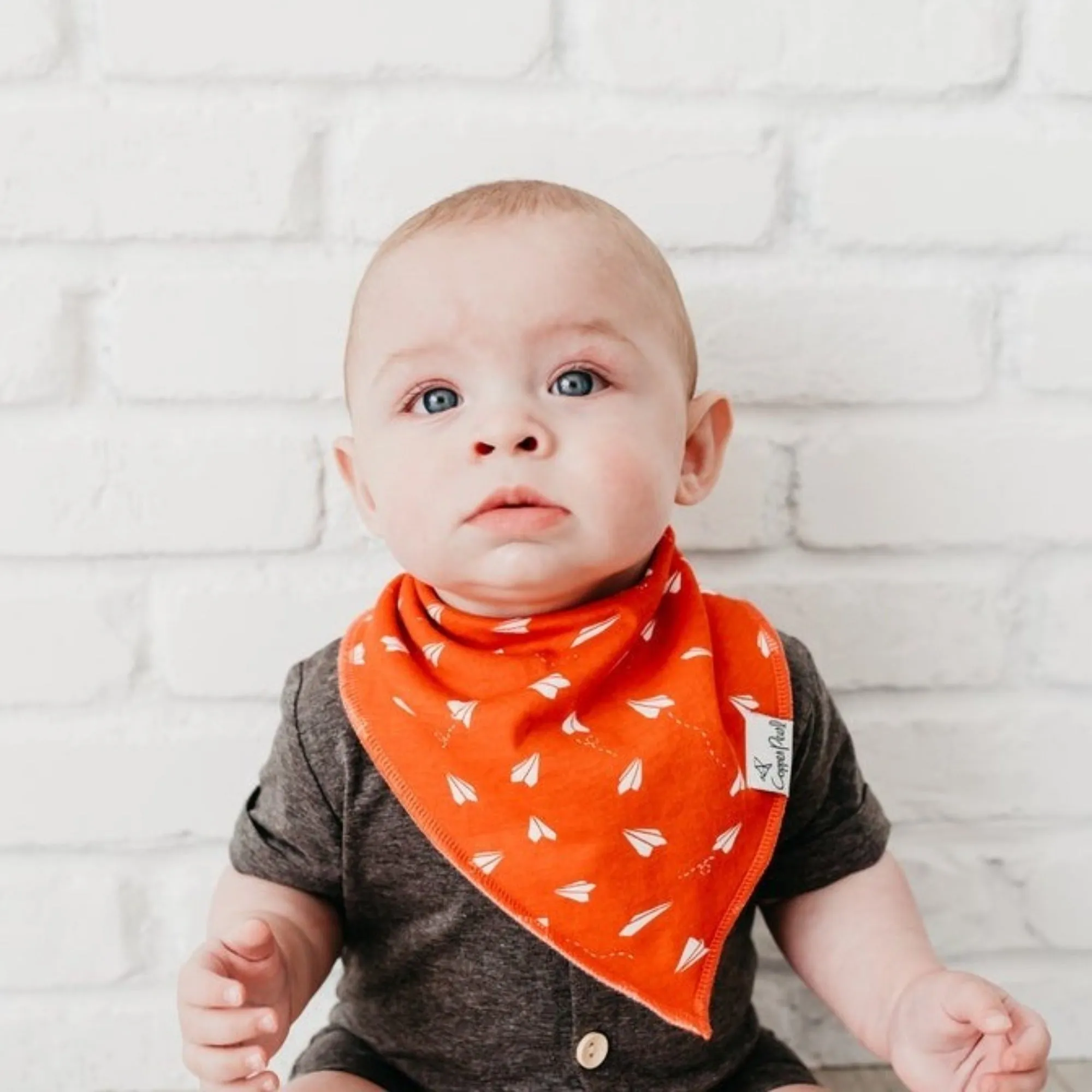 COPPER PEARL Ace Bibs