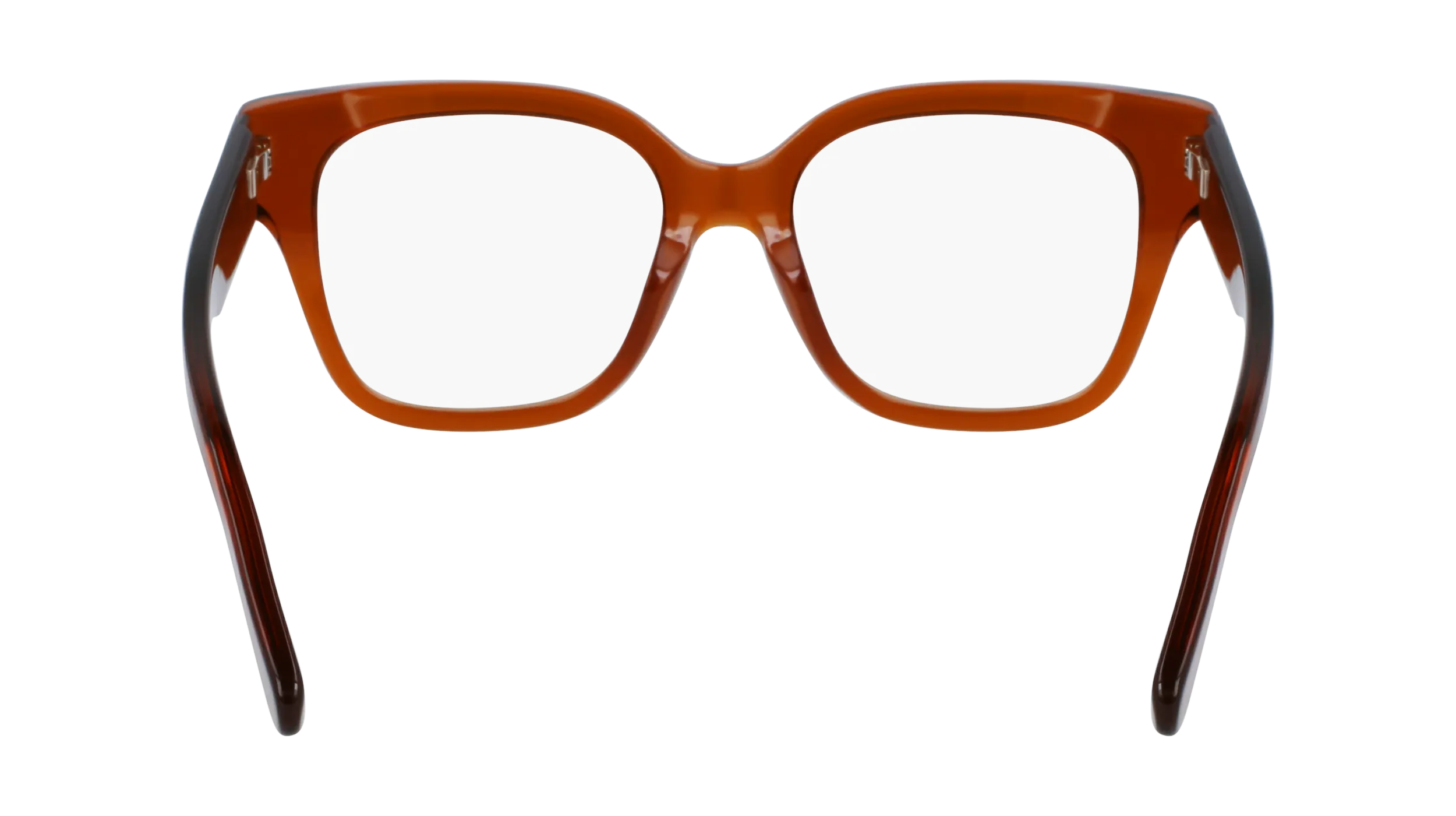 Ferragamo SF2952N 261