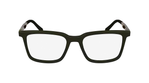 Ferragamo SF2969 302