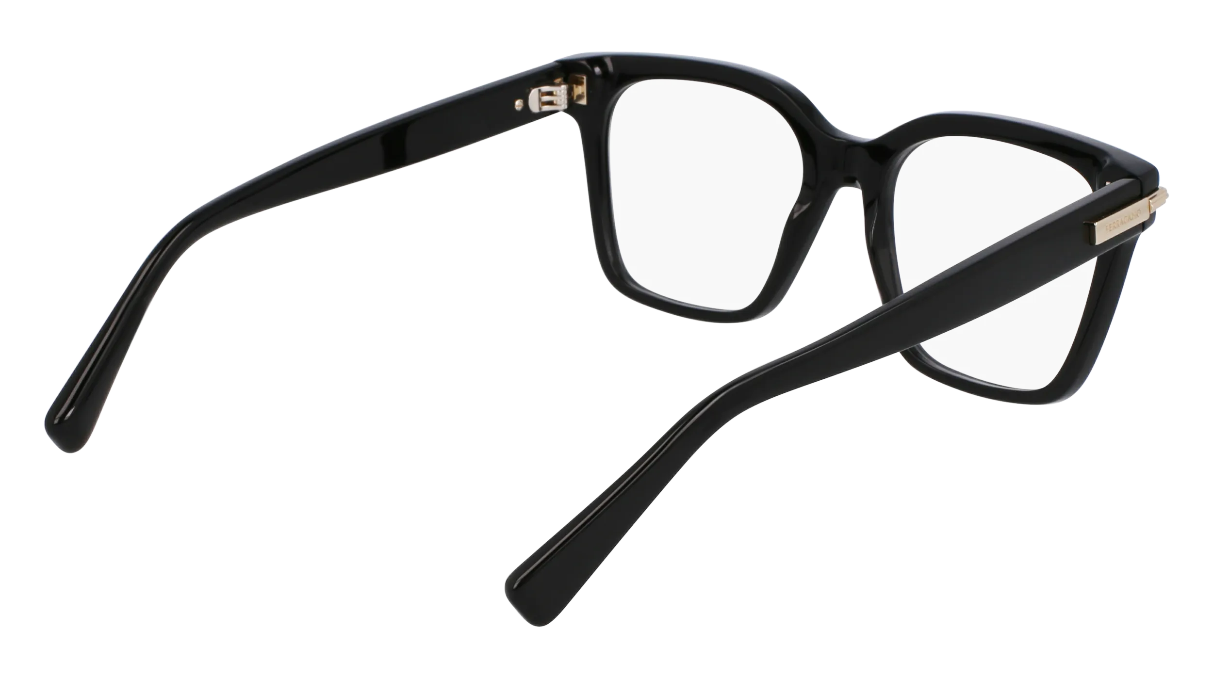 Ferragamo SF3009 1