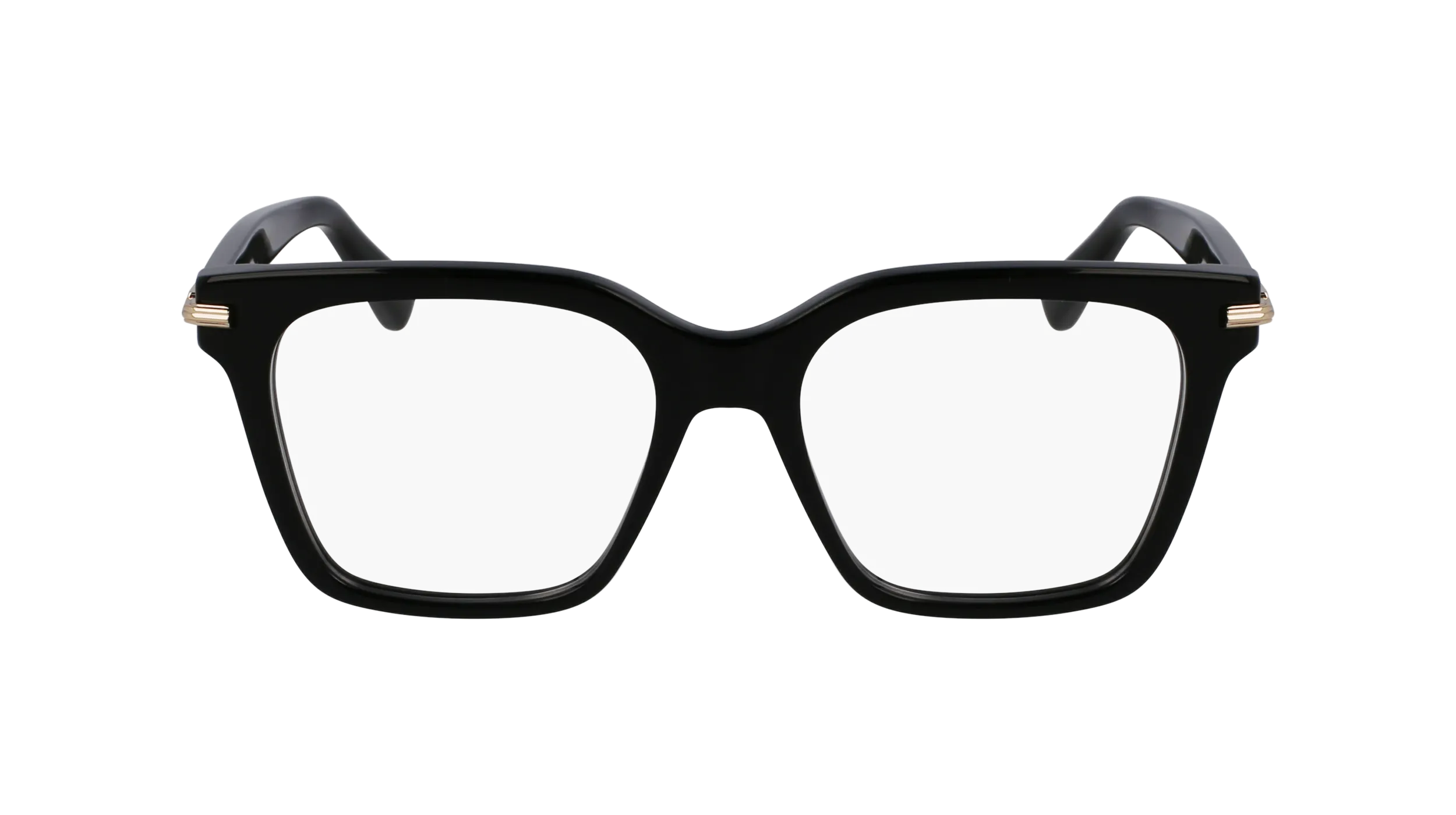 Ferragamo SF3009 1
