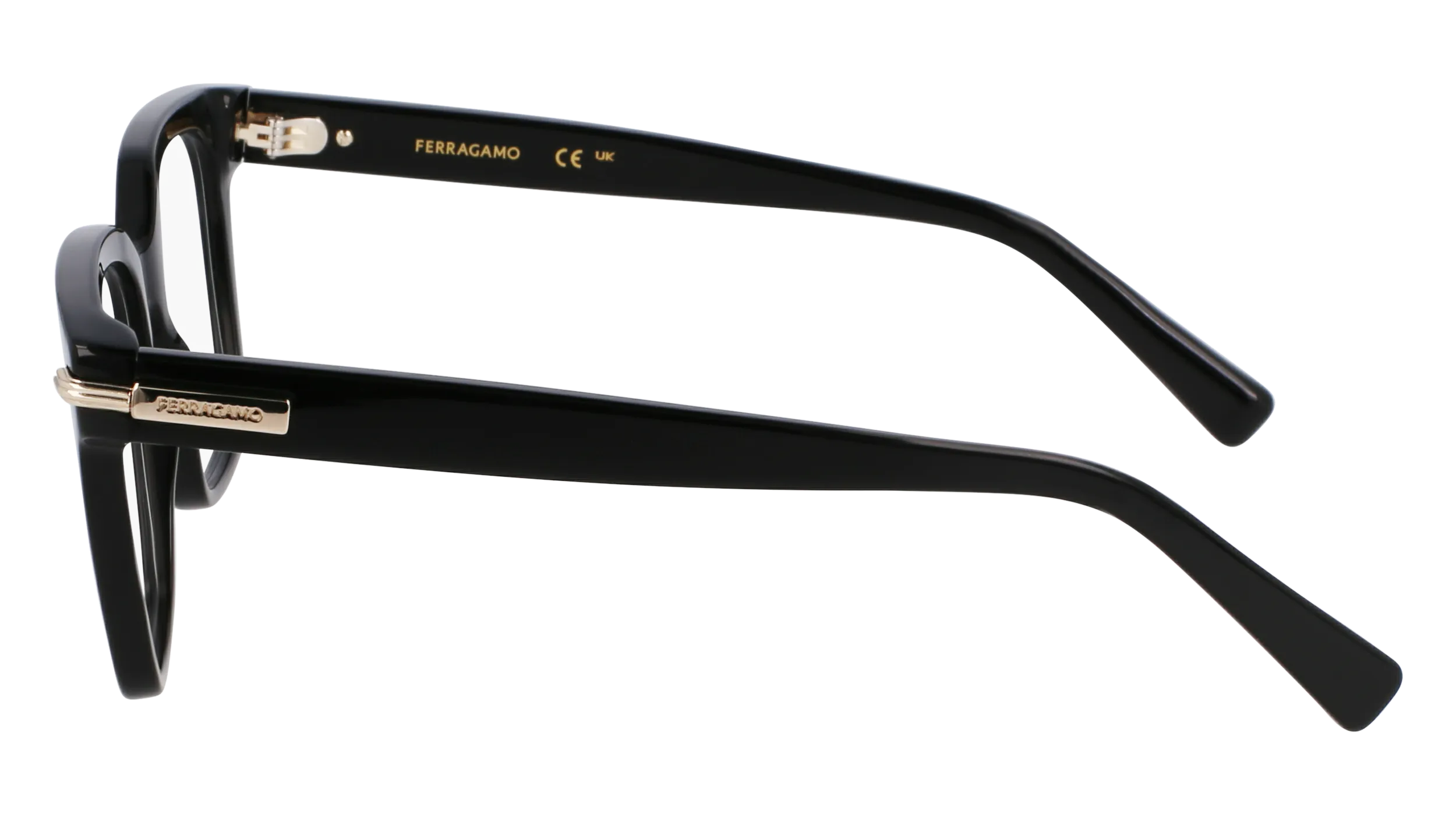 Ferragamo SF3009 1