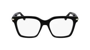 Ferragamo SF3009 1