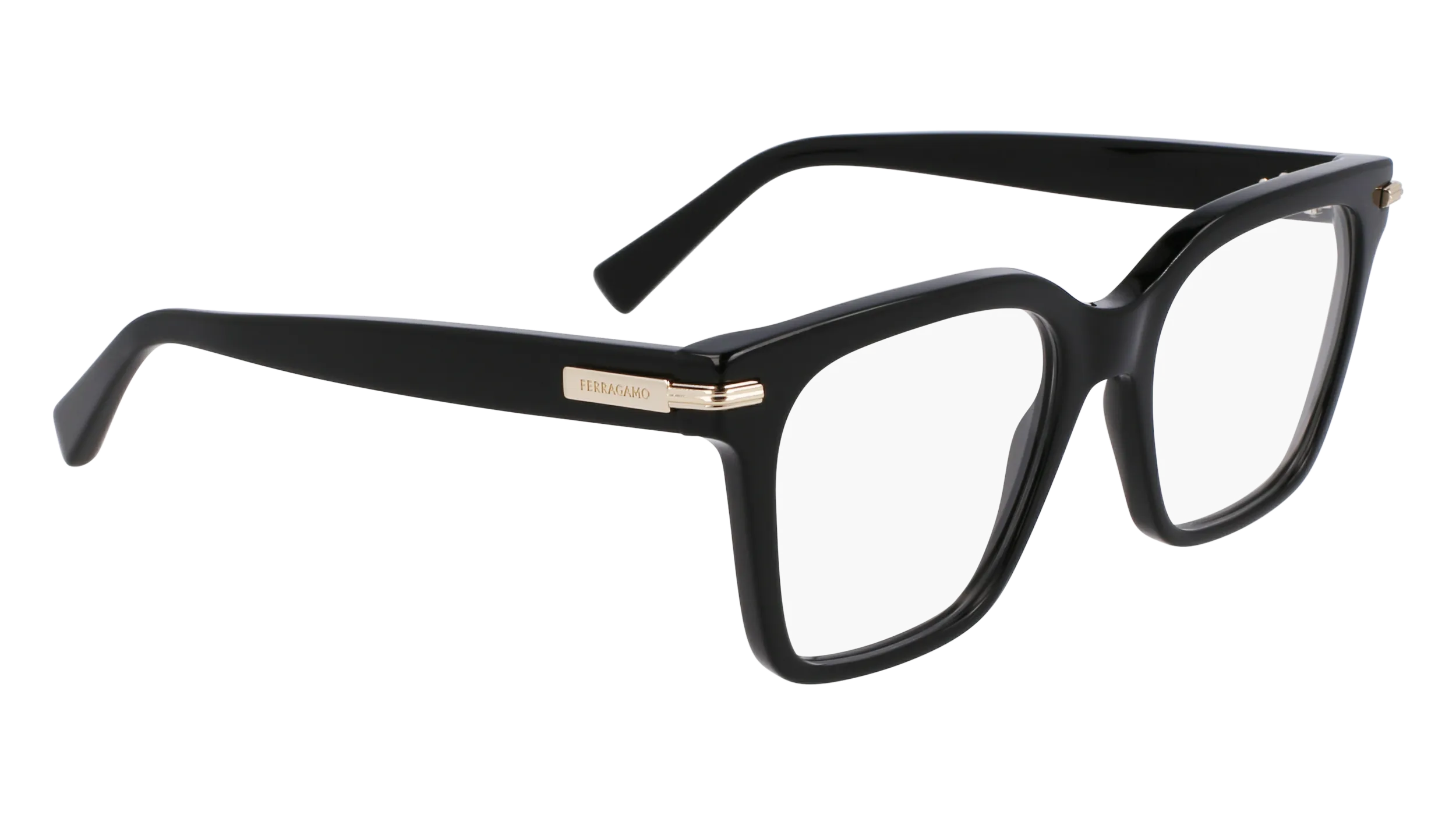 Ferragamo SF3009 1