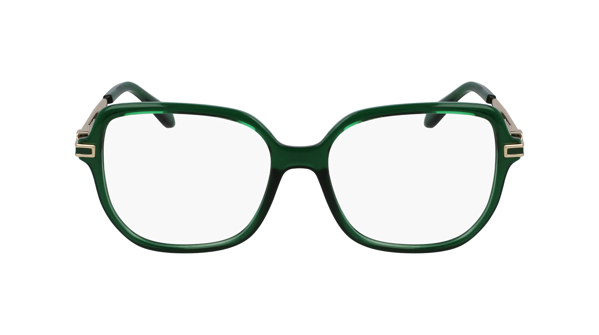 Ferragamo SF3012 317