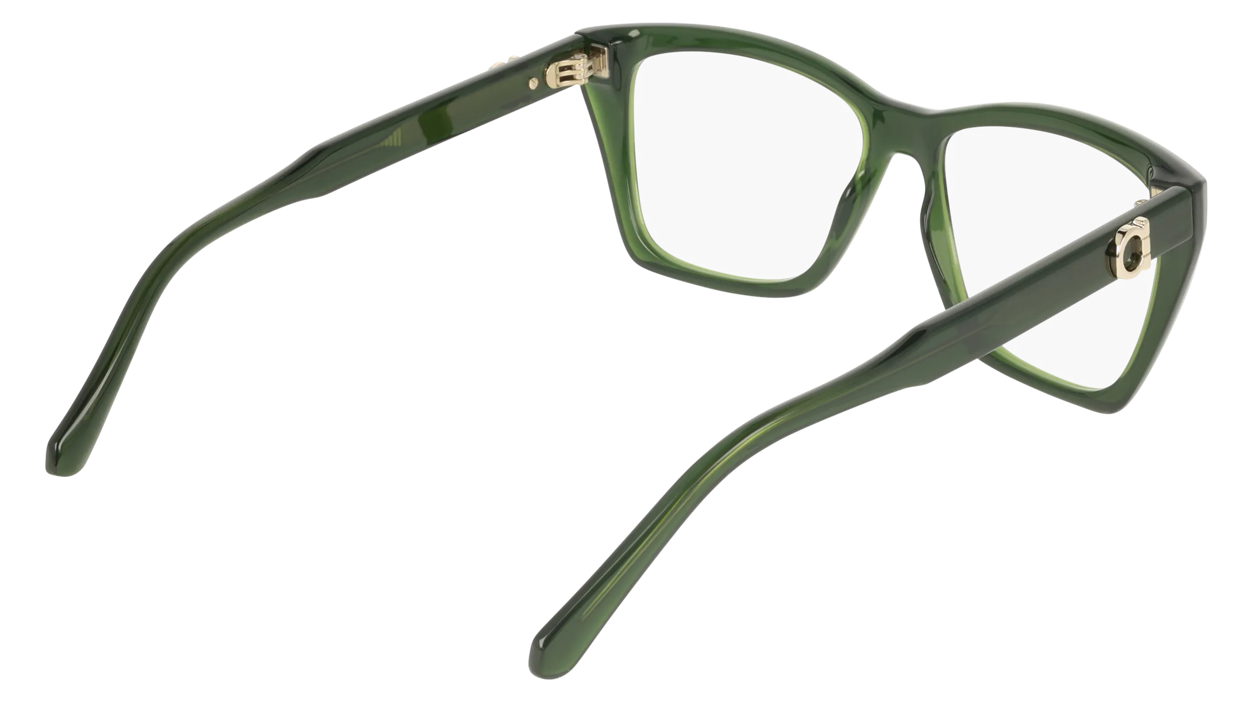 Ferragamo SF3030E 317