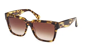 MaxMara Glimpse2 MM0078 53F